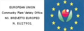 Attestato European Union Community Plant Variety Office: brevetto europeo n. EU27931