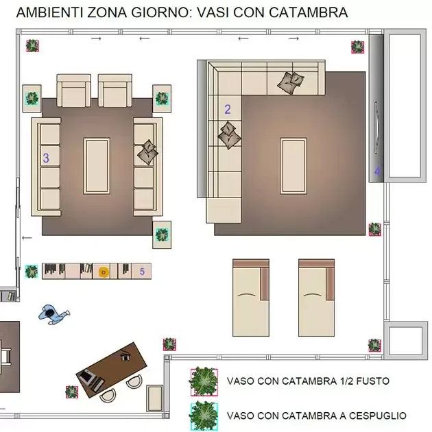 Pianta della zona giorno di un appartamento con i vasi di Catambra mezzo fusto e a cespuglio disposti lungo salotto, sala da pranzo e terrazzo