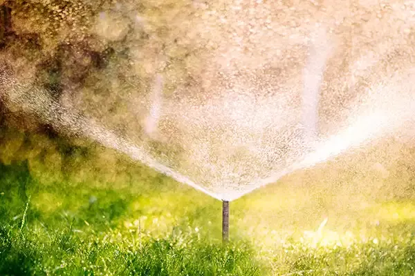 anti zanzare per giardino e prato