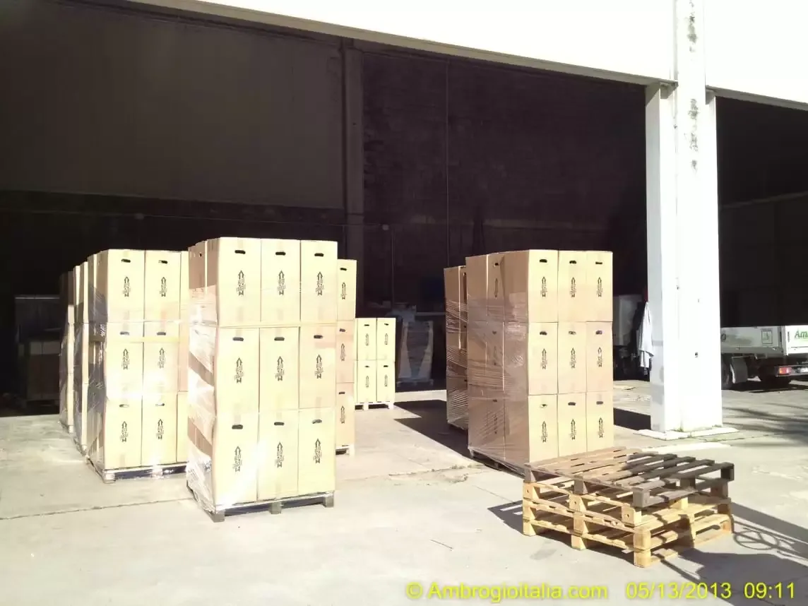 Embalaje de las plantas para el transporte
