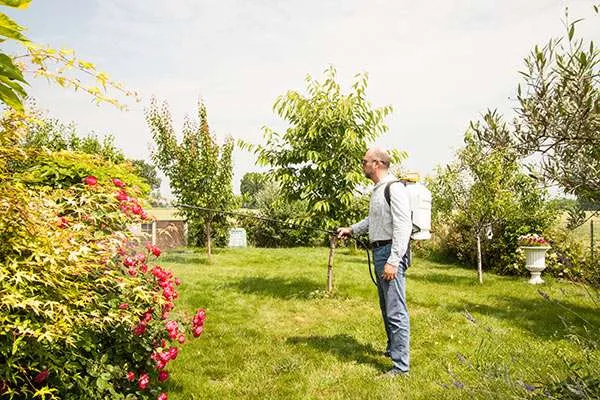 trattamento idrocatambra su piante e siepi del giardino