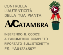 Attenzione!